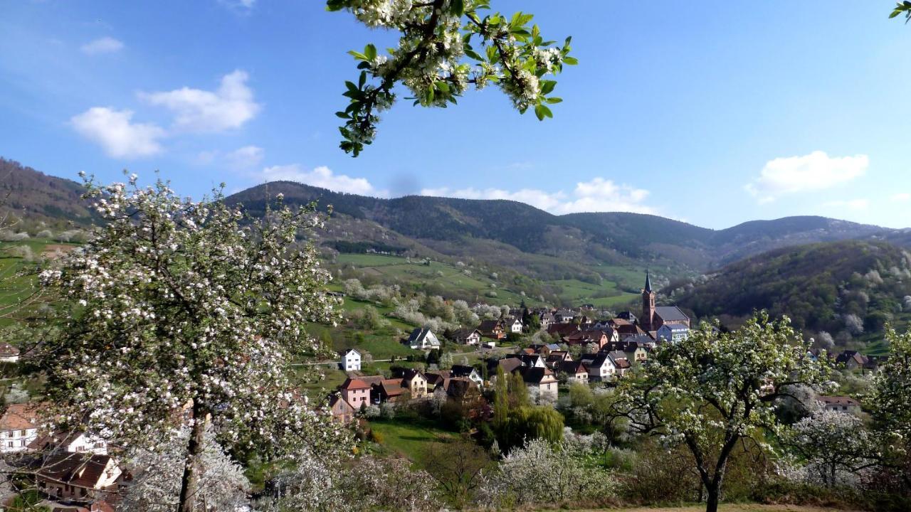 Les Gites La Cerisaie Breitenbach Exteriér fotografie