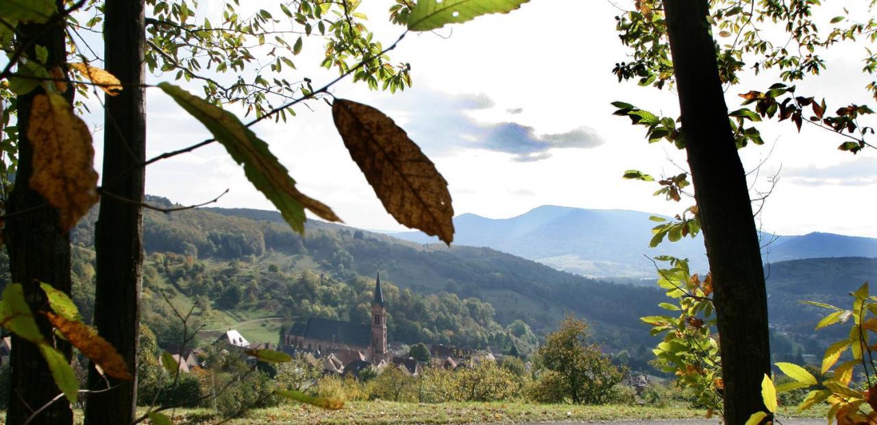 Les Gites La Cerisaie Breitenbach Exteriér fotografie